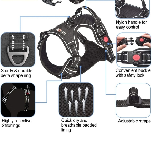 tobeDRI Small Dog Harness - Picture 4 of 6